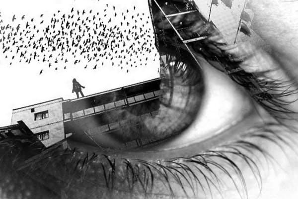 Введення в теорію роботи з психотравмою